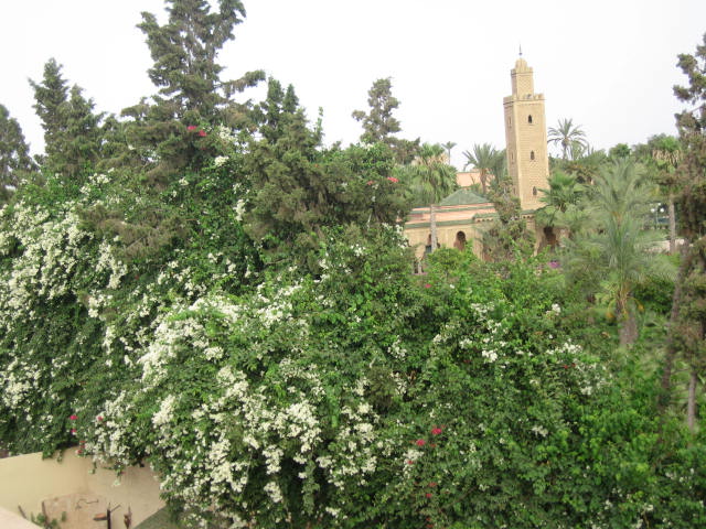  villa Zohor - Marrakech